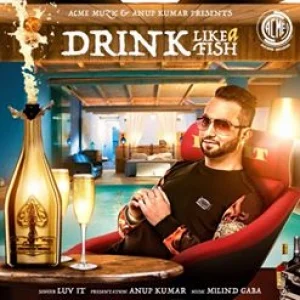 Drink Like a Fish
