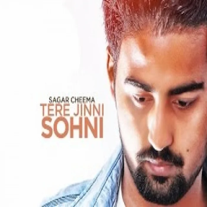 Tere Jinni Sohni