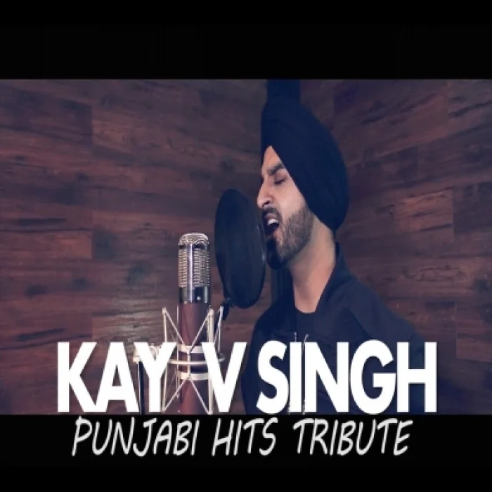 Punjabi Hits Tribute Mashup