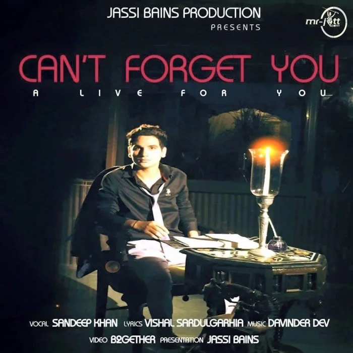 Cant Forget You