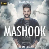Mashook
