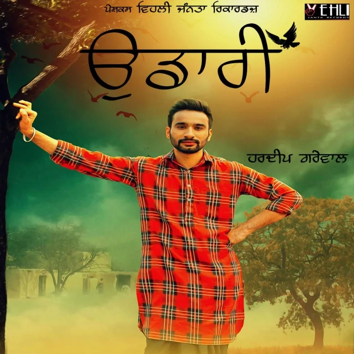 Udaari