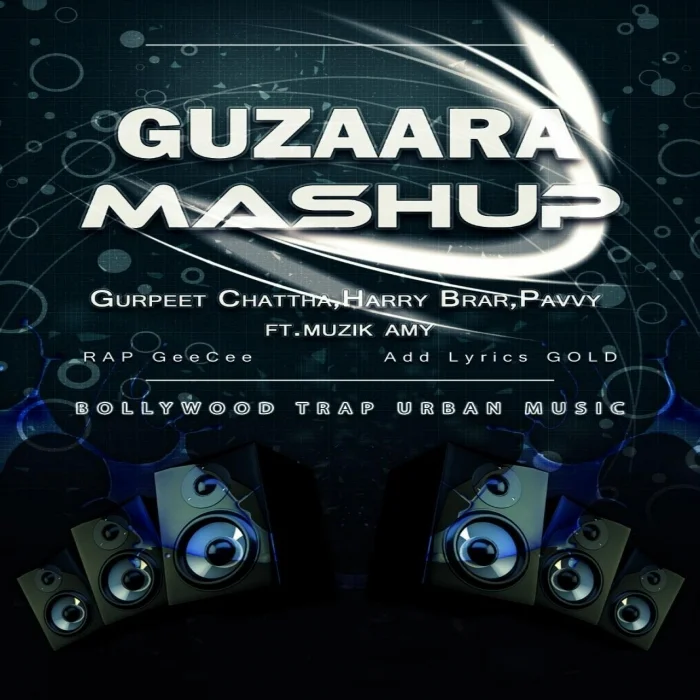 Guzaara Mashup