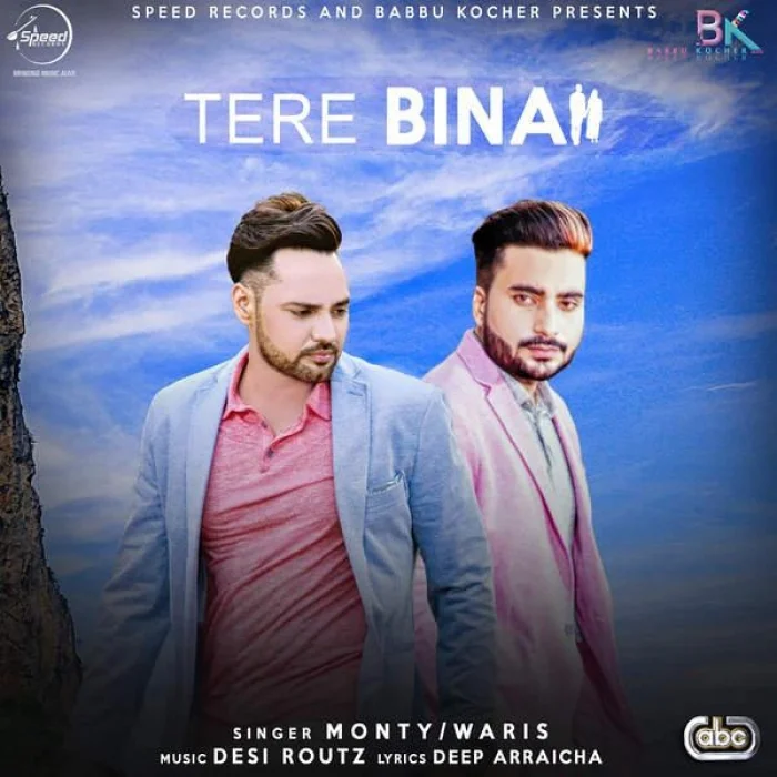Tere Bina