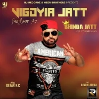 Vigdyia Jatt