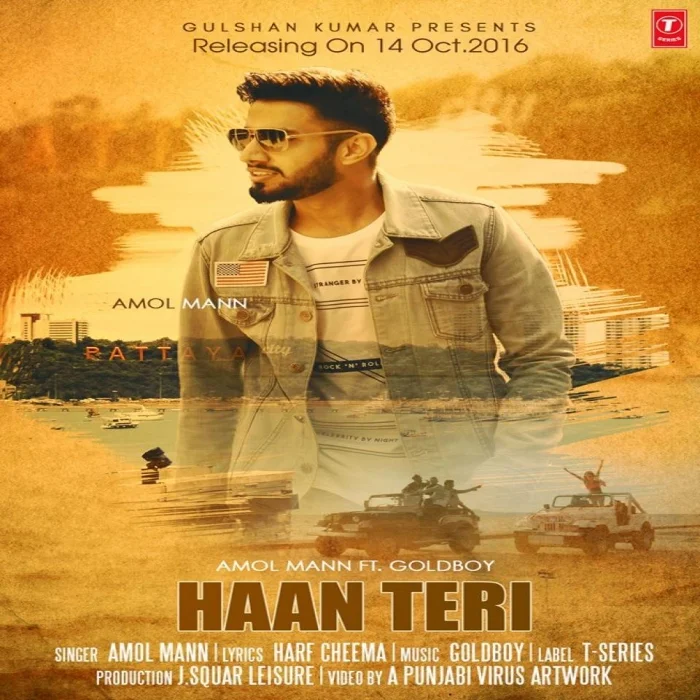 Haan Teri